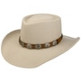 Ellsworth Teardrop Western Hat by Bailey 1922 oatmeal