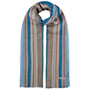 Jarnvik Stripe Summer Scarf by Stetson brown-blue