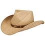 Chestercole Western Raffia Hat by Stetson nature