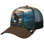 Eagle In The Element Trucker Cap by Goorin brown