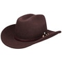 Trevona Wool Western Hat by Lierys brown