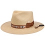 Foss Panama Hat by Bailey 1922 nature