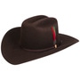 Rancher 160th Edition 6X Western Hat by Stetson brown