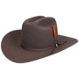 Rancher 160th Edition 6X Western Hat by Stetson grey
