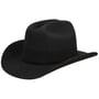 Western Woolfelt by Stetson black
