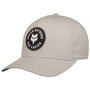 Speed Division Flexfit Cap by FOX light grey