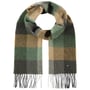 John Hanly Check Wool Scarf by Lierys green