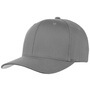 Spandex Flexfit Cap grey